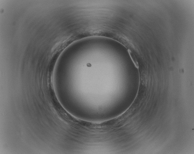 X0000076450740200610202334