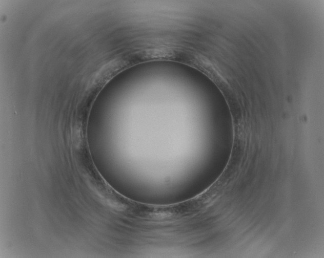 X0000076450741200610202334