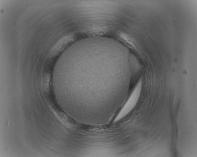 X0000076450742200610202334