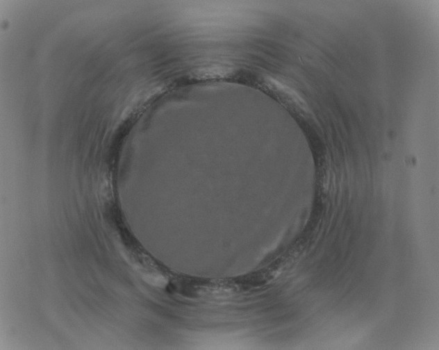 X0000076450743200610202334