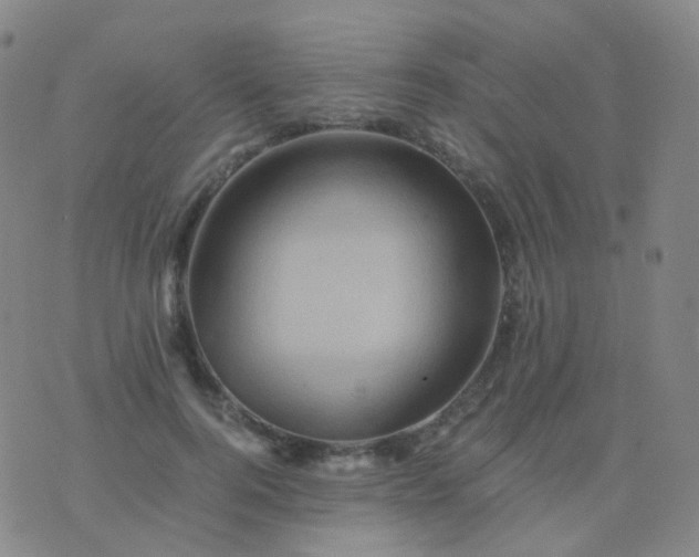 X0000076450744200610202334