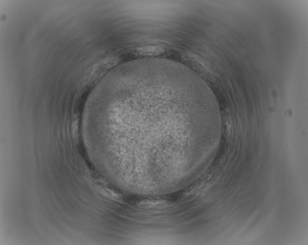 X0000076450745200610202334