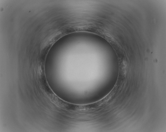 X0000076450746200610202334