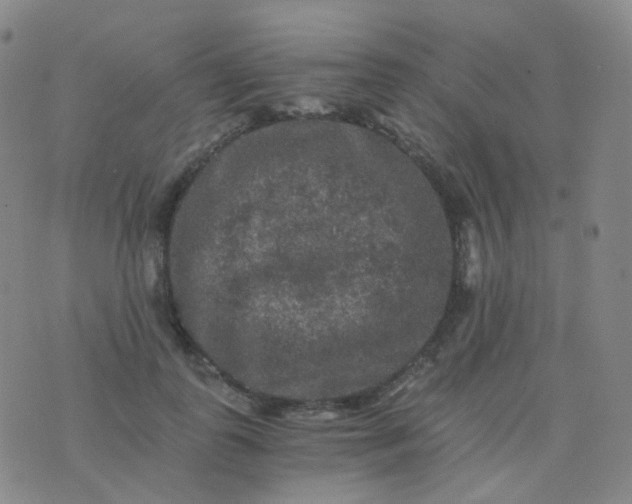 X0000076450747200610202334