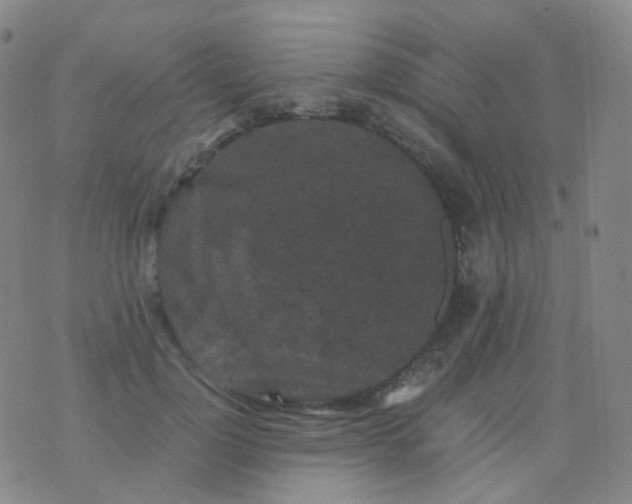 X0000076450748200610202334