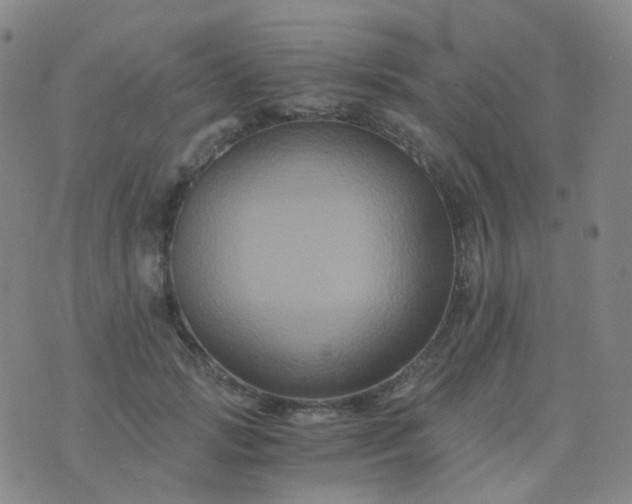 X0000076450749200610202334