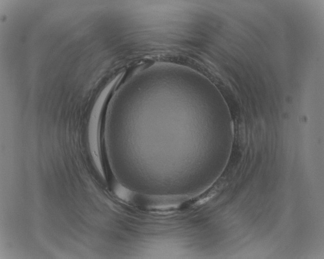 X0000076450750200610202334