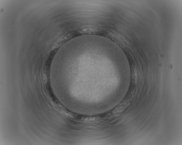 X0000076450751200610202334