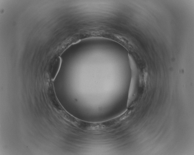 X0000076450752200610202334