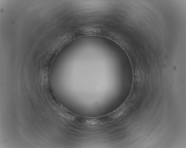 X0000076450753200610202334