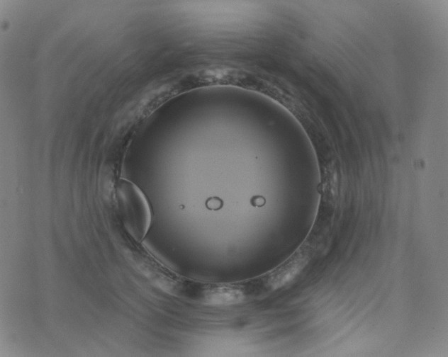 X0000076450754200610202334