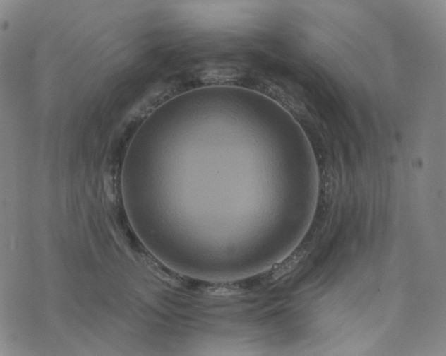 X0000076450755200610202334