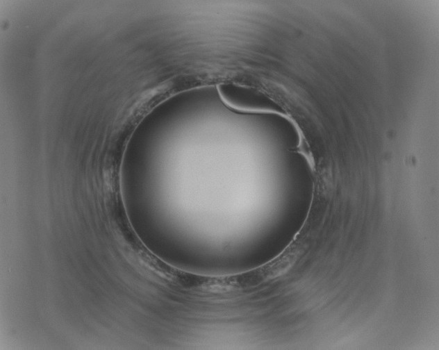 X0000076450756200610202334