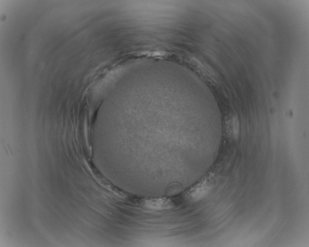 X0000076450757200610202334