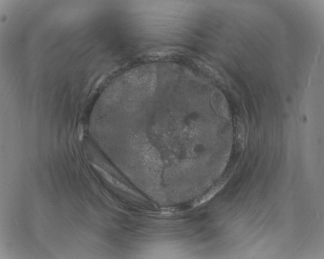 X0000076450758200610202334