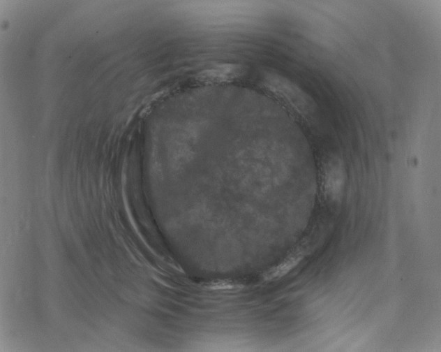 X0000076450759200610202334