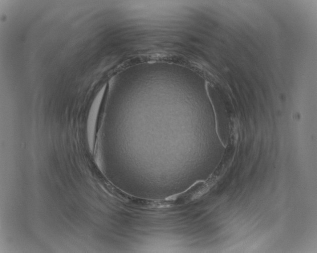 X0000076450760200610202334