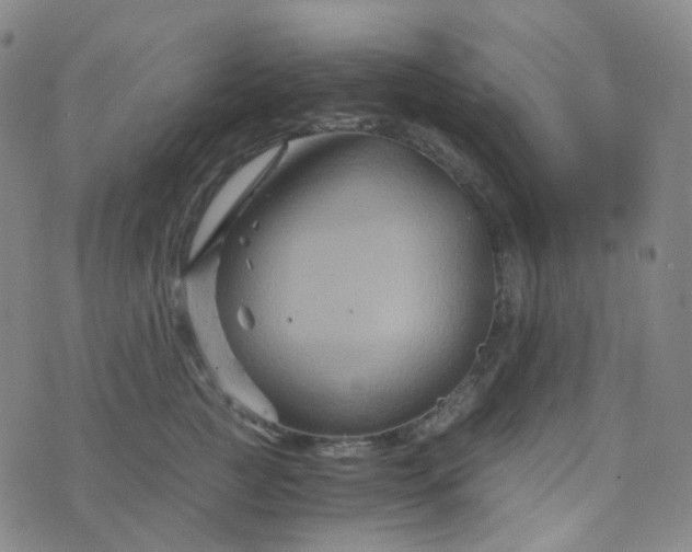 X0000076450761200610202334