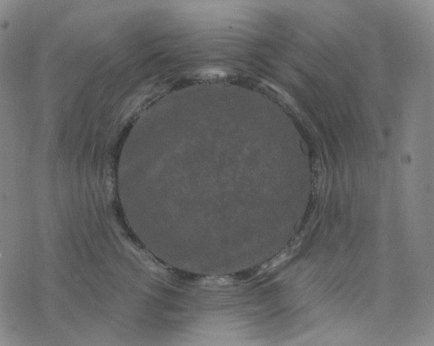 X0000076450762200610202334