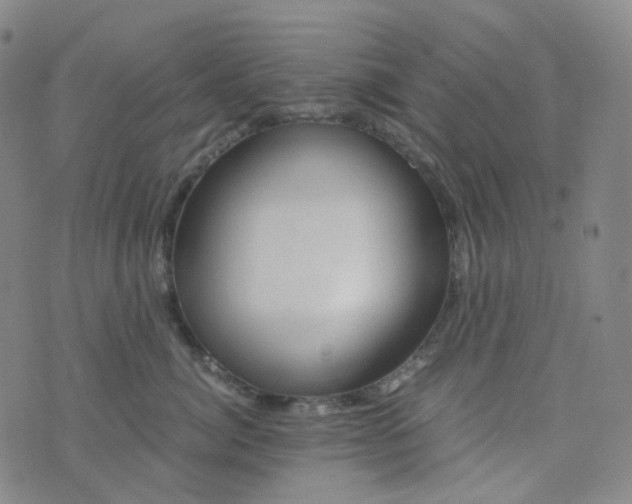 X0000076450764200610202334