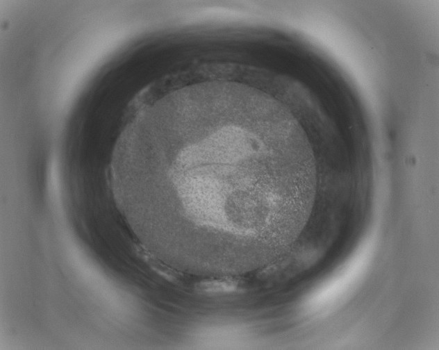 X0000076450765200610202335