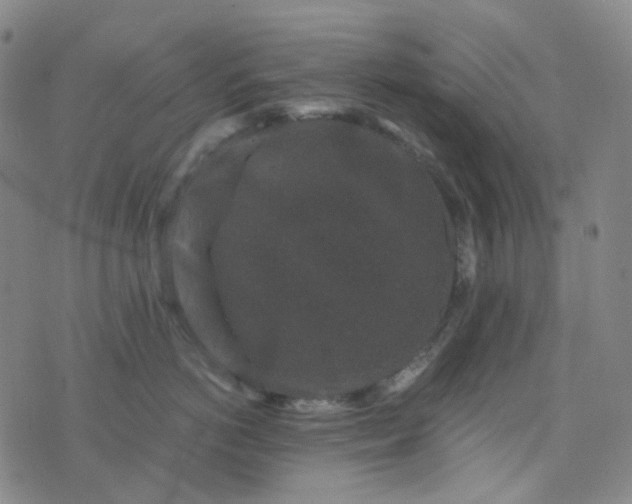 X0000076450766200610202335