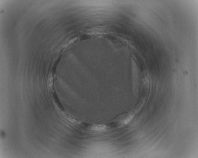 X0000076450767200610202335