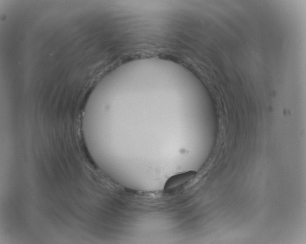 X0000076450768200610202335