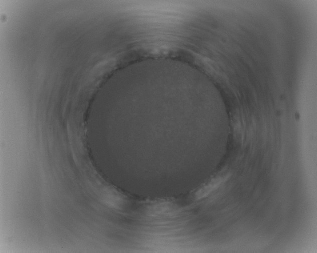 X0000076450769200610202334