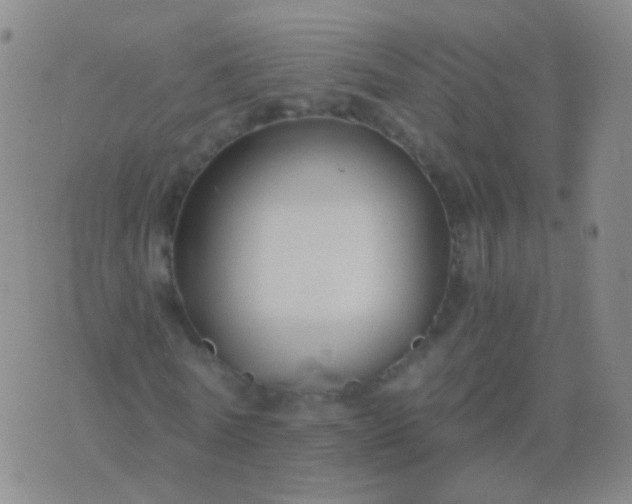 X0000076450770200610202334