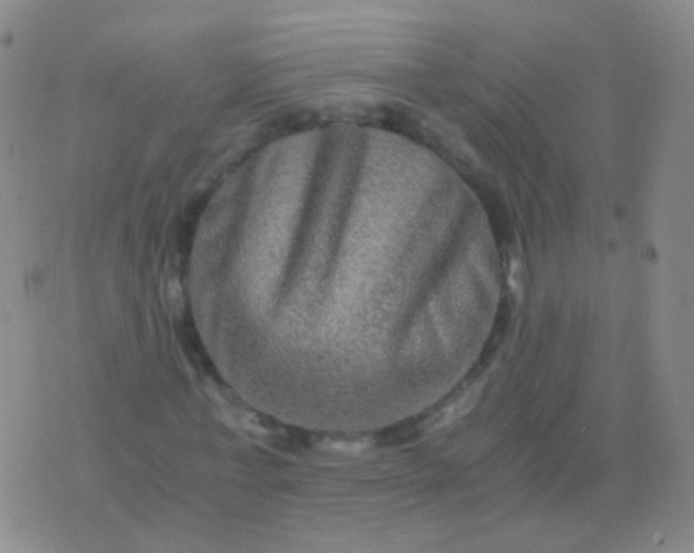 X0000076450771200610202334