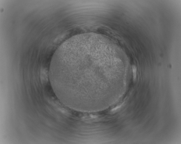 X0000076450772200610202334