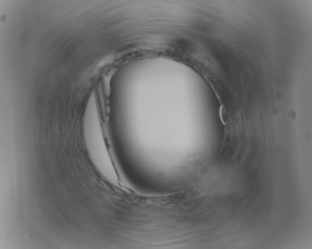 X0000076450773200610202334