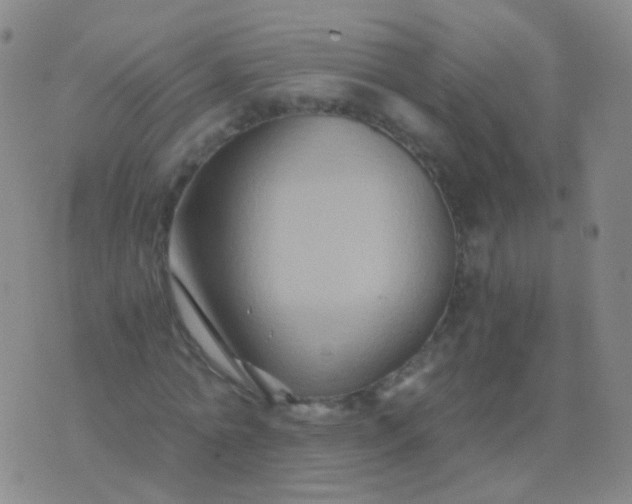 X0000076450774200610202334