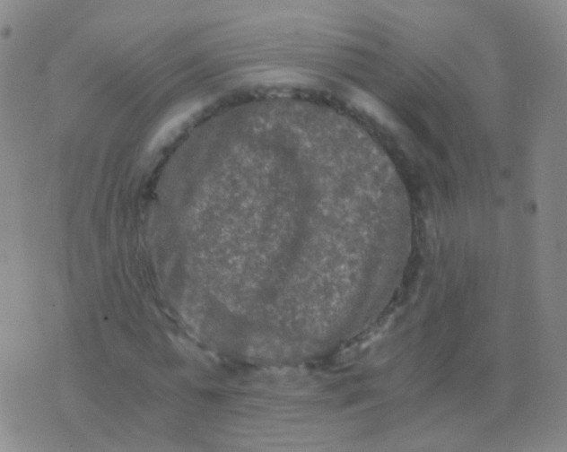 X0000076450775200610202334