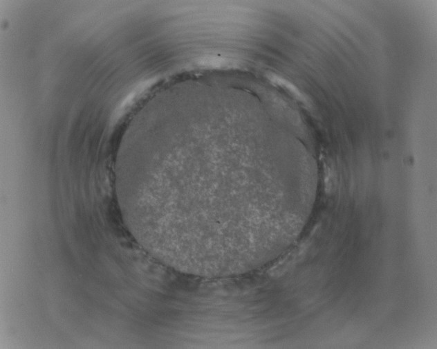 X0000076450776200610202334