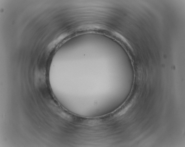 X0000076450778200610202334