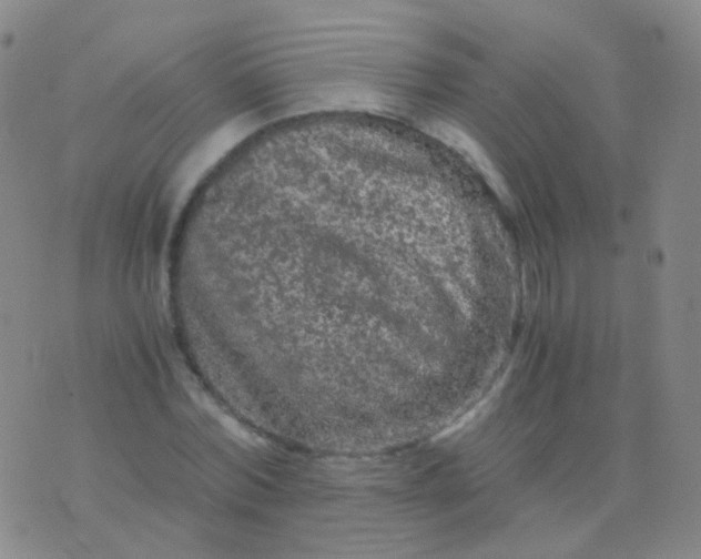 X0000076450780200610202334