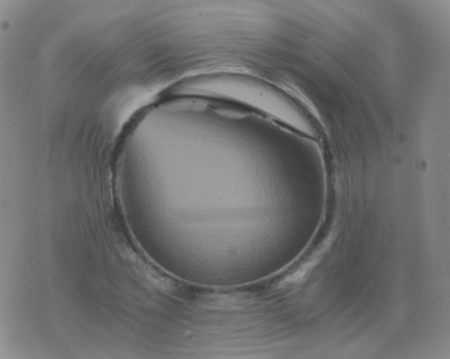 X0000076450781200610202334