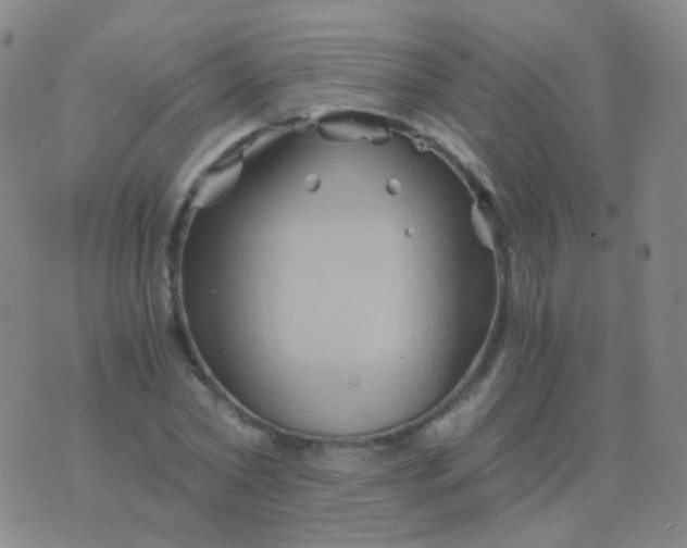 X0000076450782200610202334