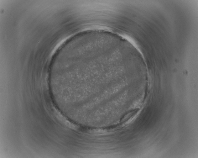 X0000076450783200610202334