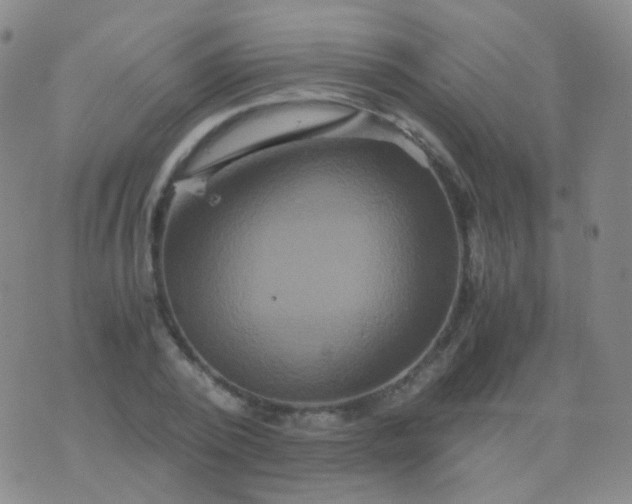 X0000076450784200610202334