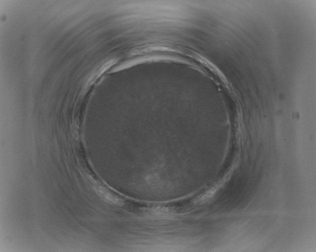 X0000076450785200610202334