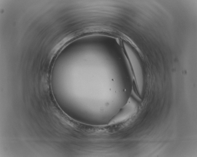 X0000076450786200610202334