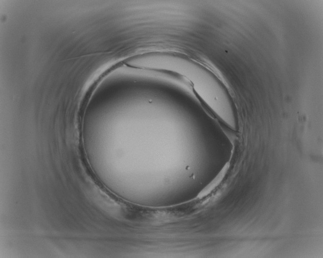 X0000076450787200610202333