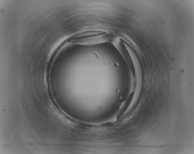 X0000076450788200610202333