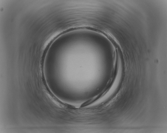 X0000076450789200610202333