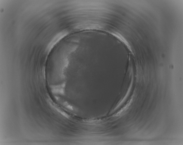 X0000076450790200610202333