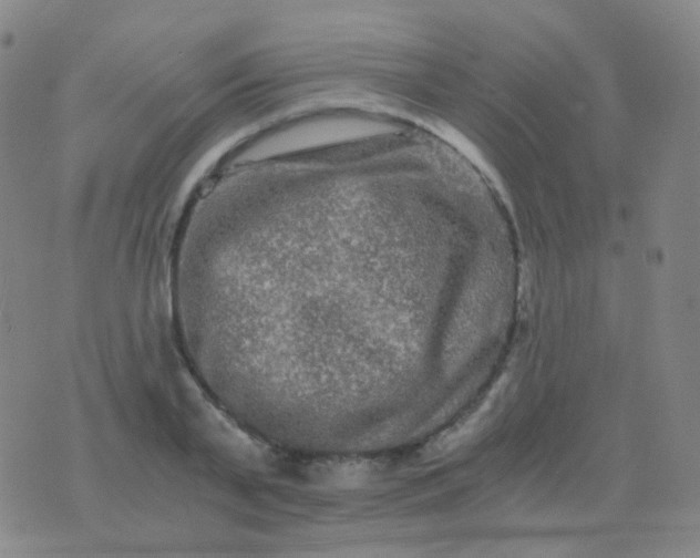 X0000076450791200610202333