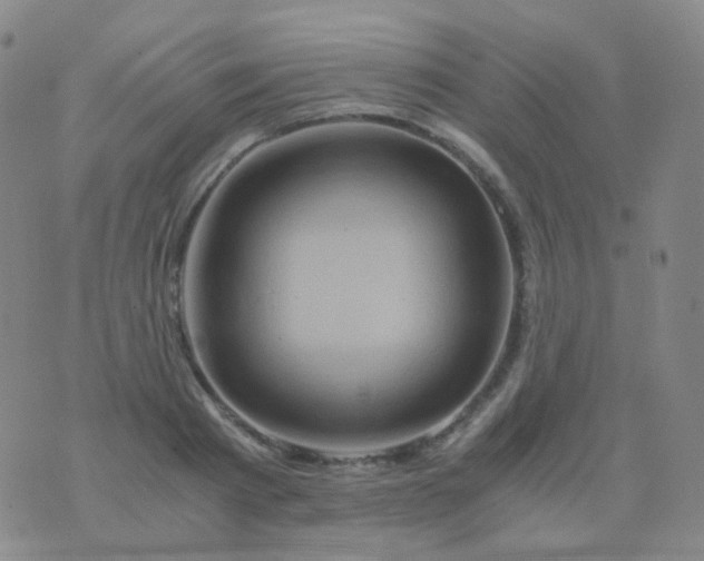 X0000076450793200610202333